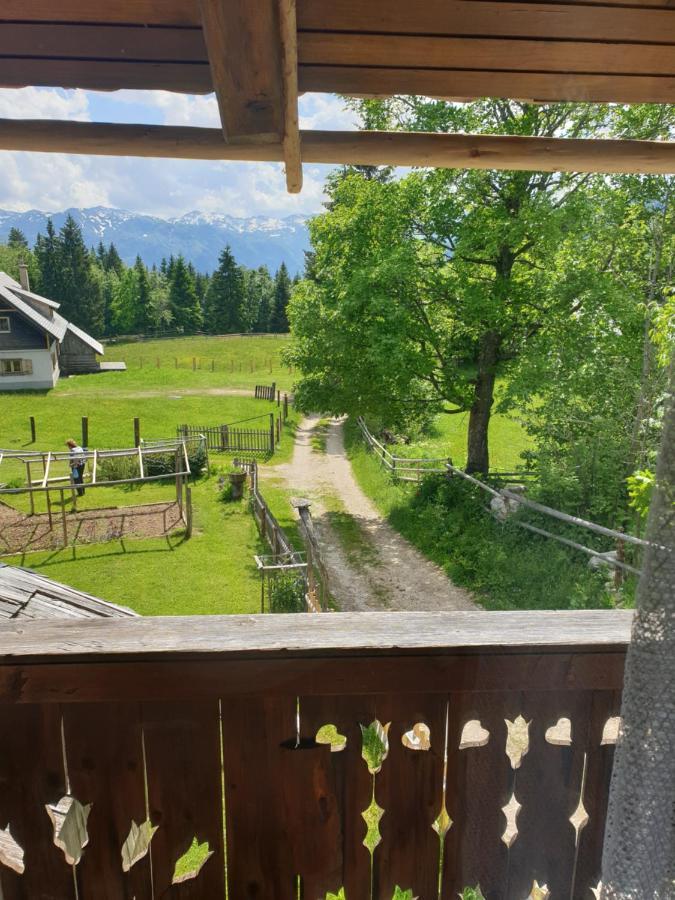 Mountain Apartment Uskovnica Bohinj Εξωτερικό φωτογραφία